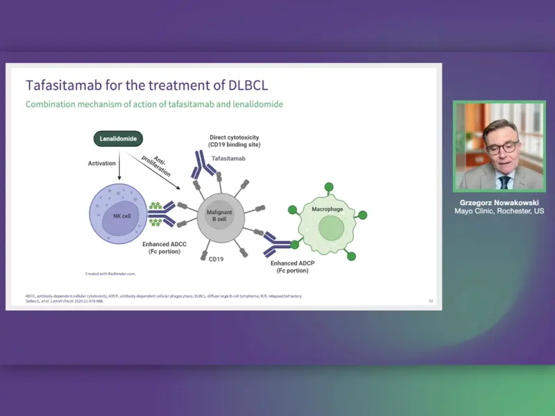 Anti-CD19 monoclonal antibodies for the treatment of DLBCL